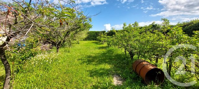 maison à vendre - 9 pièces - 195.6 m2 - MONTELIMAR - 26 - RHONE-ALPES - Century 21 Portes De Provence