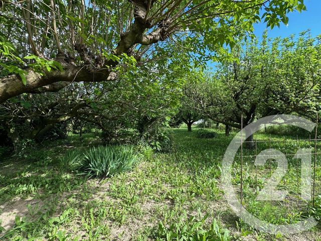 maison à vendre - 6 pièces - 156.0 m2 - ROCHEMAURE - 07 - RHONE-ALPES - Century 21 Portes De Provence