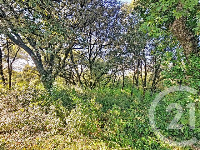 terrain à vendre - 1954.0 m2 - MONTELIMAR - 26 - RHONE-ALPES - Century 21 Portes De Provence